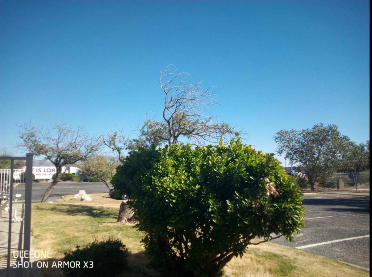 Willcox Extended Inn And Suites 외부 사진